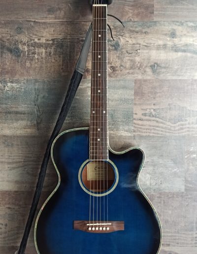 Exposición en pared de guitarra Collins Acoustic Blue