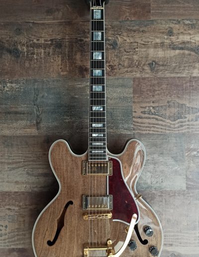 Exposición en pared de guitarra Gibson 355 Special RV Brown