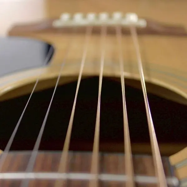 Imagen de la categoría