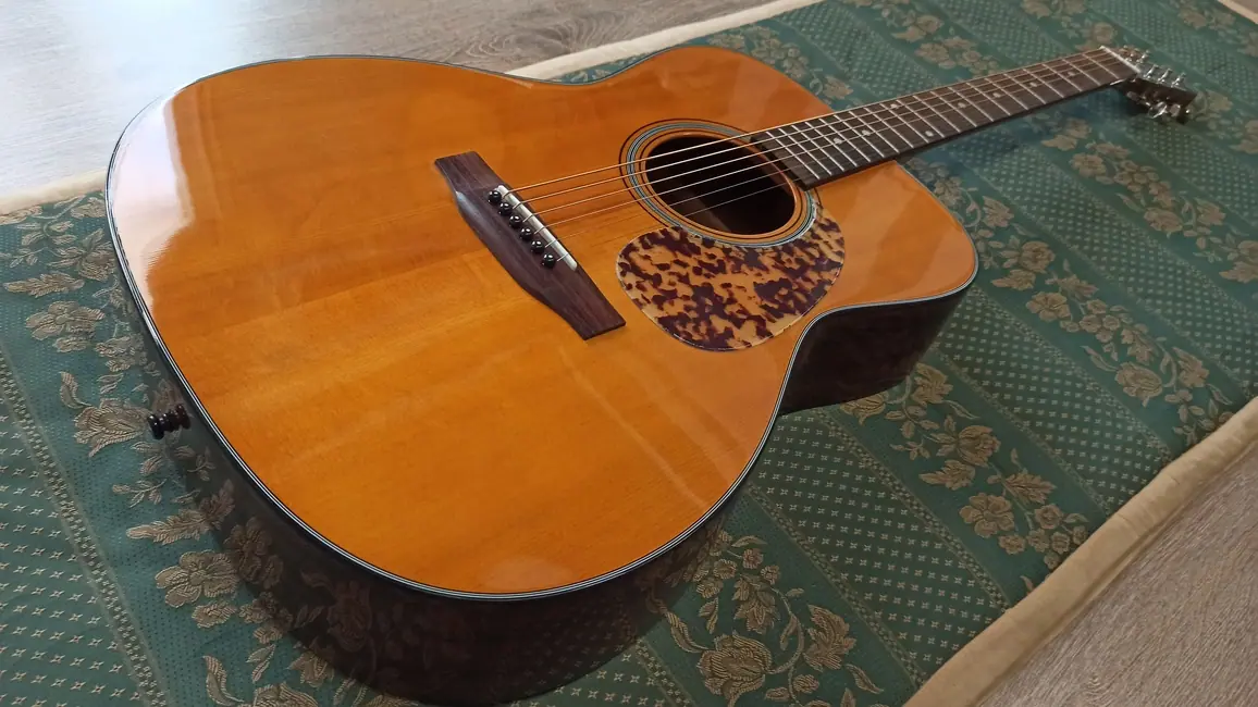 Blueridge BR-143 | Imagen 01