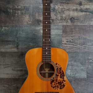 Blueridge BR-143 | Imagen 10