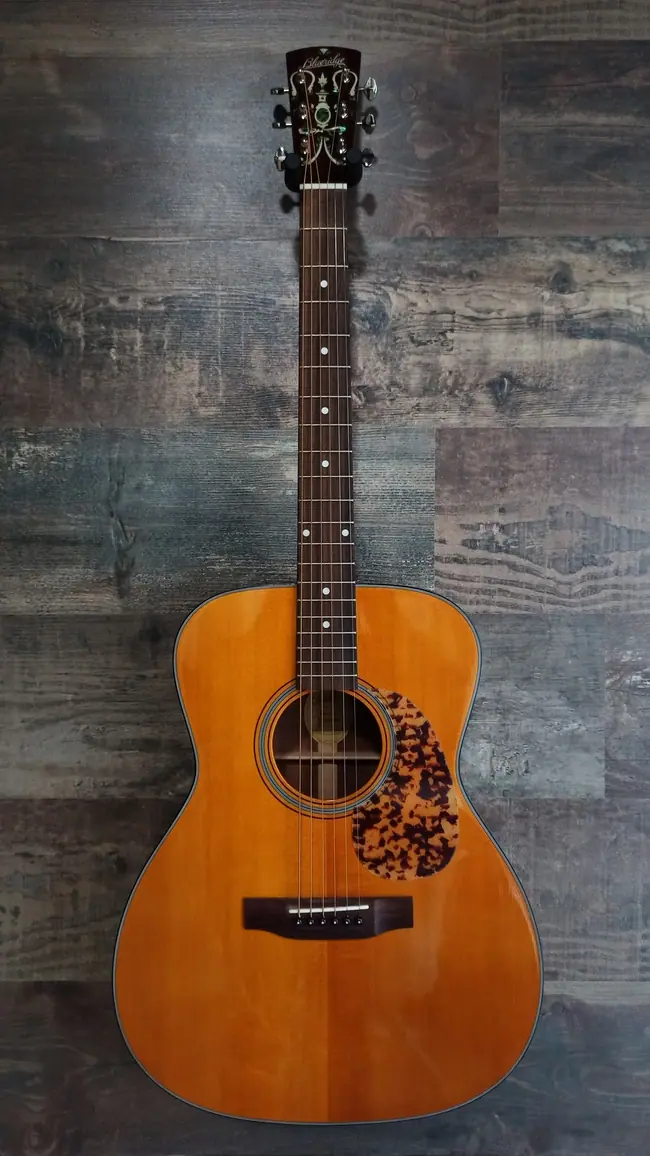 Blueridge BR-143 | Imagen 10