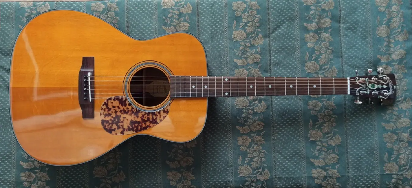 Blueridge BR-143 | Imagen 11