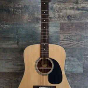 Blueridge BR-40 | Imagen 08