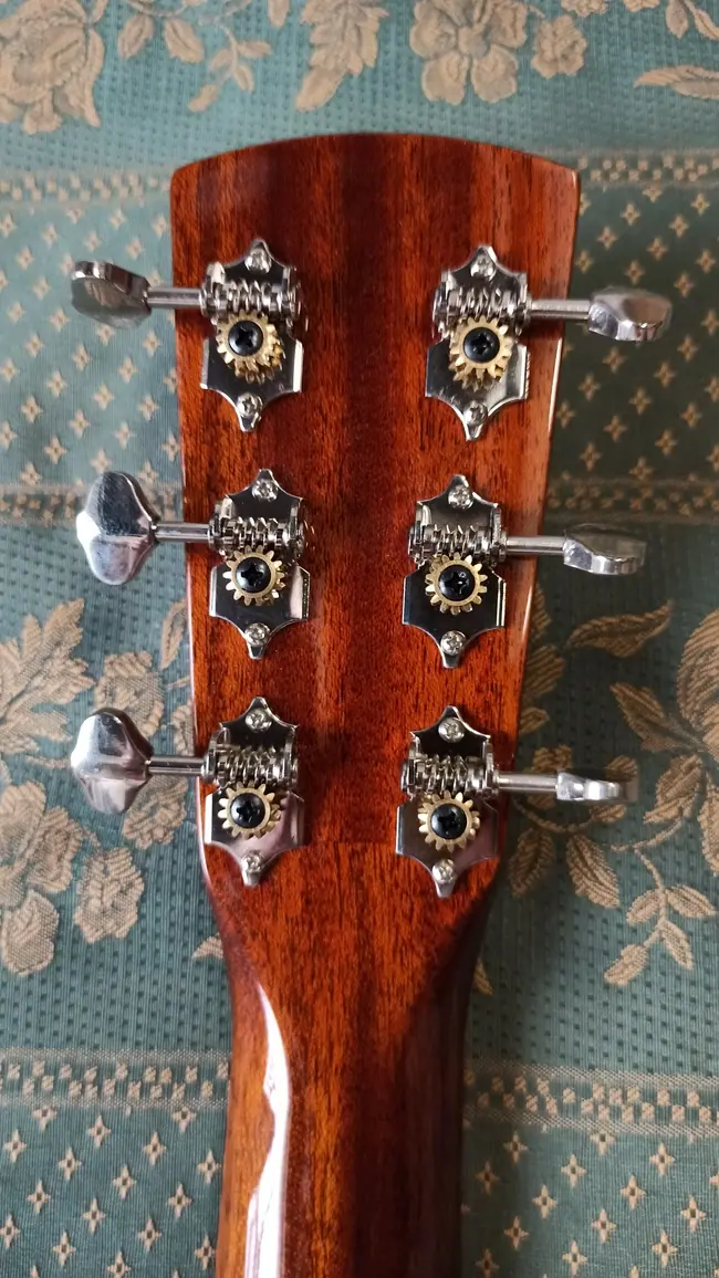 Blueridge BR-40A | Imagen 02