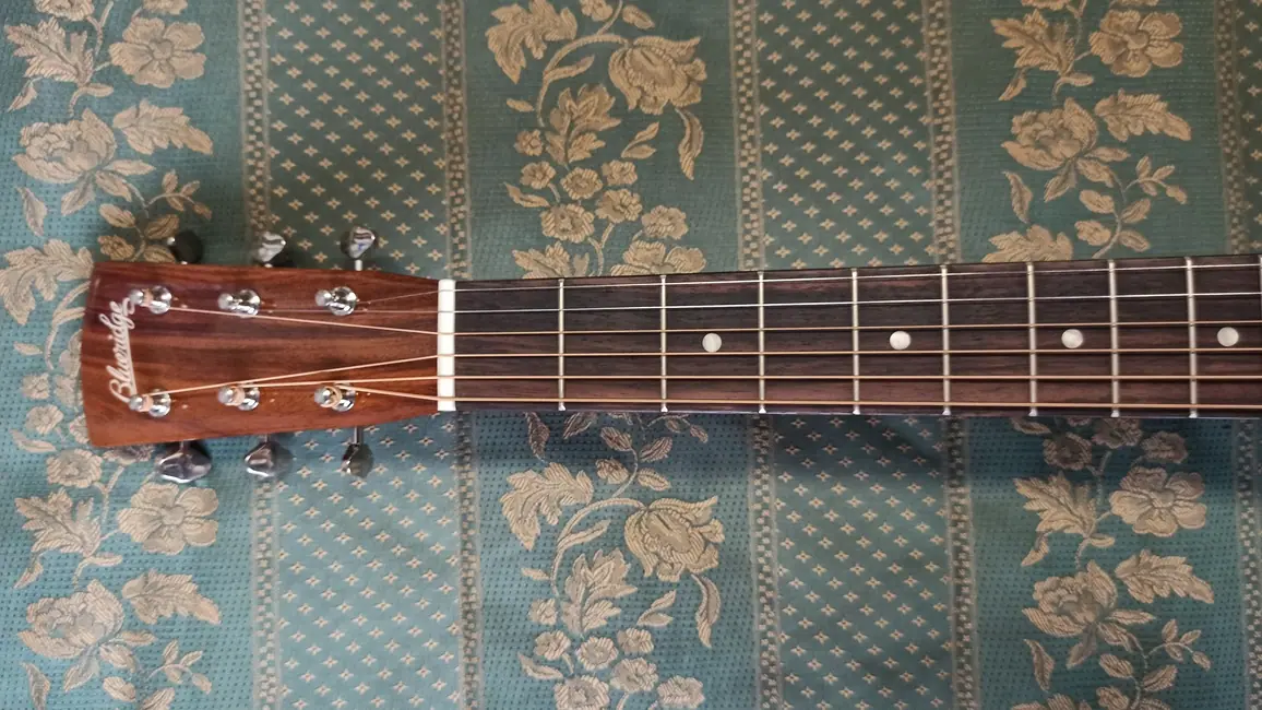 Blueridge BR-40A | Imagen 05