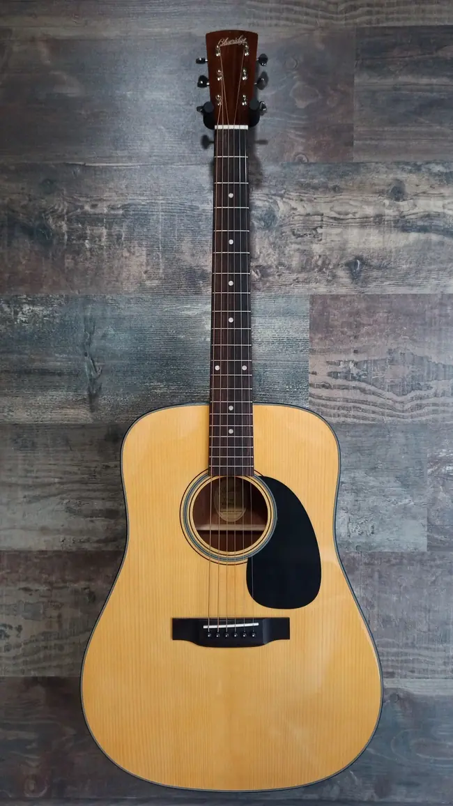 Blueridge BR-40A | Imagen 07