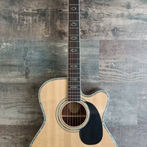 Blueridge BR-73CE | Imagen 07
